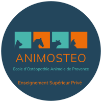 Animosteo Moodle